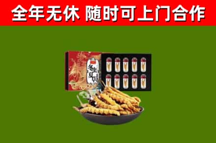云龙县回收冬虫夏草价格