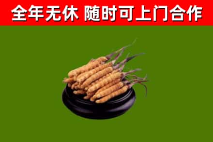 云龙县烟酒回收冬虫夏草.jpg